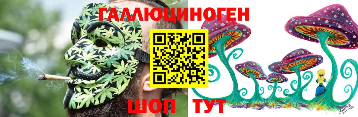 Галлюциногенные грибы мицелий Грозный