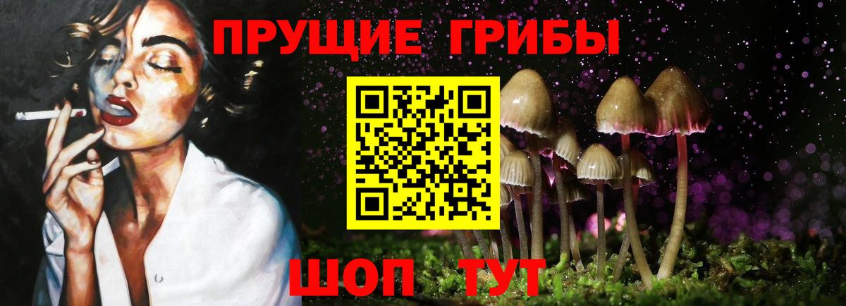 Грозный  Галлюциногенные грибы GOLDEN TEACHER  Вход с VPN  Галлюциногенные грибы Cubensis 